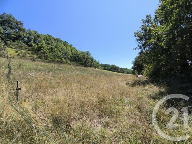 Terrain à vendre ORBESSAN